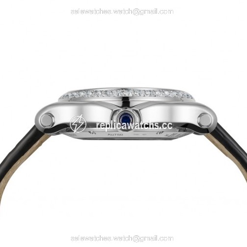 WaterMark (1)