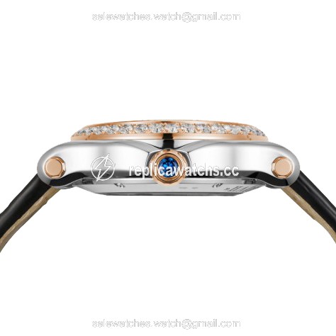 WaterMark (1)
